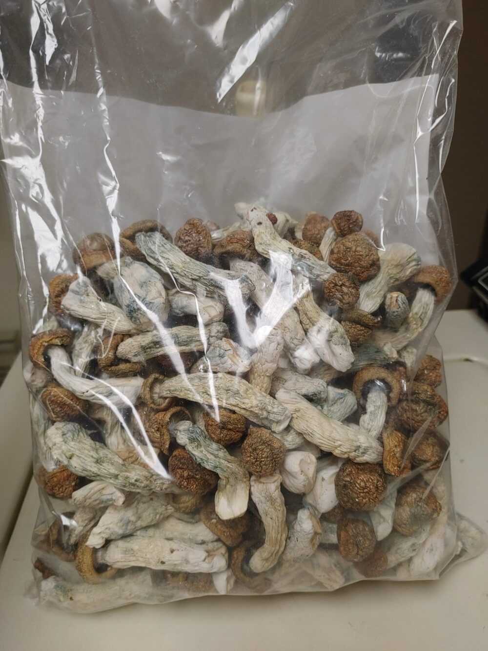 penis envy shrooms