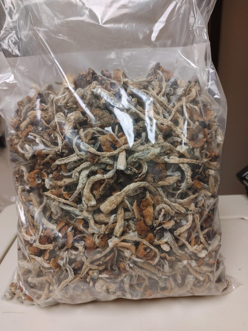 Amazon Shrooms