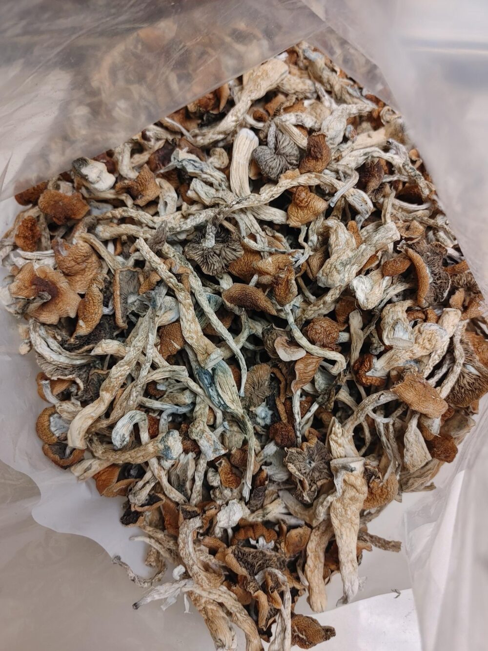 Amazon Shrooms