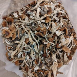 Amazon Shrooms